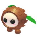 Coconut Friend